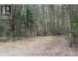 1019 Forrester Trail, Bracebridge, ON P1L1W9 Photo 8