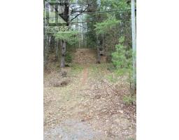 1019 Forrester Trail, Bracebridge, ON P1L1W9 Photo 9