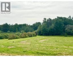 76317 Highway 49, Rural Smoky River No  130, M D  Of, AB T0H1M0 Photo 38