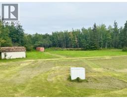 76317 Highway 49, Rural Smoky River No  130, M D  Of, AB T0H1M0 Photo 32