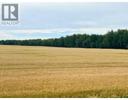 76317 Highway 49, Rural Smoky River No  130, M D  Of, AB T0H1M0 Photo 40