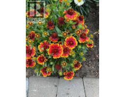 602 Partridge Drive, Pelican Point, AB T0B0H0 Photo 49