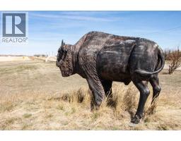 225004 222 Twp Rd, Rural Wheatland County, AB T0J1N0 Photo 30