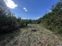 0 18n Road, Piney Rm, MB R0A2J0 Photo 8