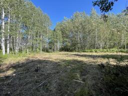 0 18n Road, Piney Rm, MB R0A2J0 Photo 7