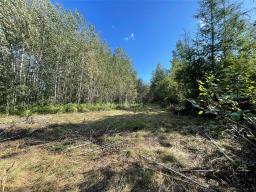 0 18n Road, Piney Rm, MB R0A2J0 Photo 9