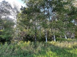 0 18n Road, Piney Rm, MB R0A2J0 Photo 10