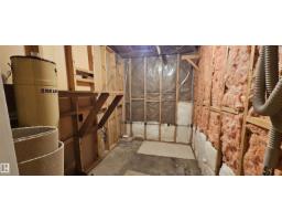 5307 114b St Nw, Edmonton, AB T6H3N6 Photo 33