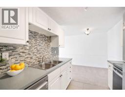 Storage - 404, 1113 37 Street Sw, Calgary, AB T3C1S5 Photo 6