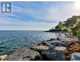 02 - 36 Second Street, Toronto, ON M8V2X2 Photo 13