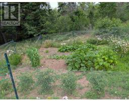 2421 Big Island Road, Lower Barneys River, NS B0K1G0 Photo 47