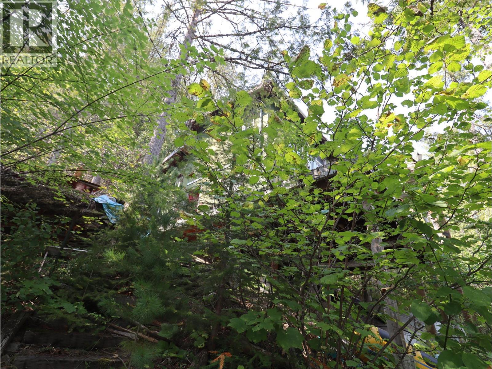3658 Boat Access West Side Road - Image 3
