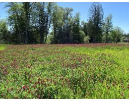 23186 8 Avenue, Langley, BC V2Z2W3 Photo 8