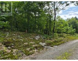 Pt 3 Shadows End Lane, Magnetawan, ON P0A1A0 Photo 7