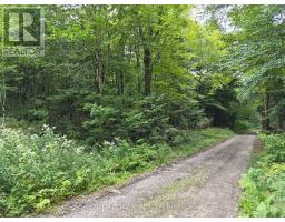 Pt 3 Shadows End Lane, Magnetawan, ON P0A1A0 Photo 8