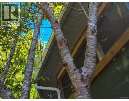 585 1st St, Sointula, BC V0N3E0 Photo 56