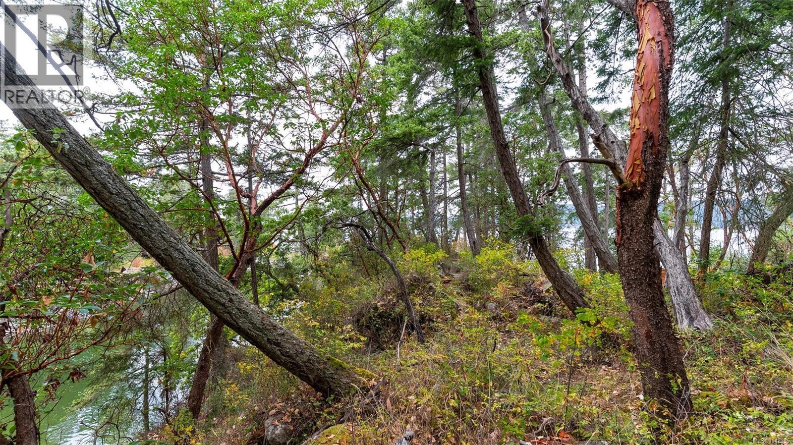  5 Wise Island, Gulf Islands