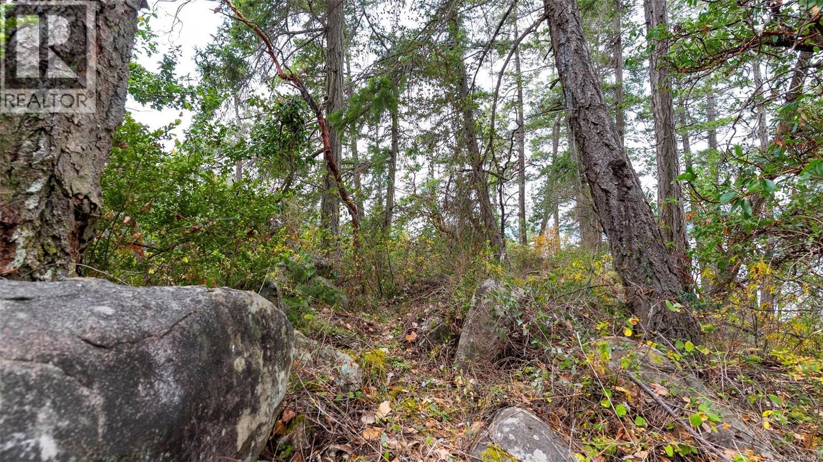  5 Wise Island, Gulf Islands
