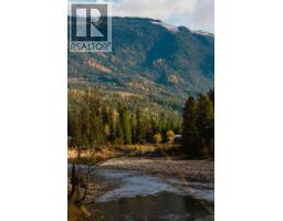 3974 Malakwa Station Road, Malakwa, BC V0E2J0 Photo 31