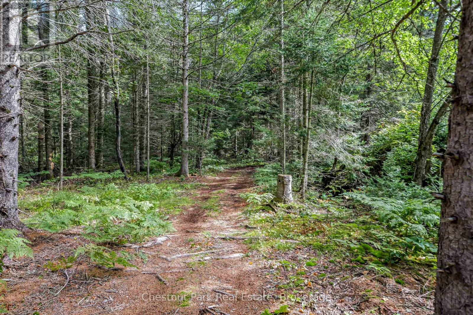 336 RAIN LAKE ROAD - 36