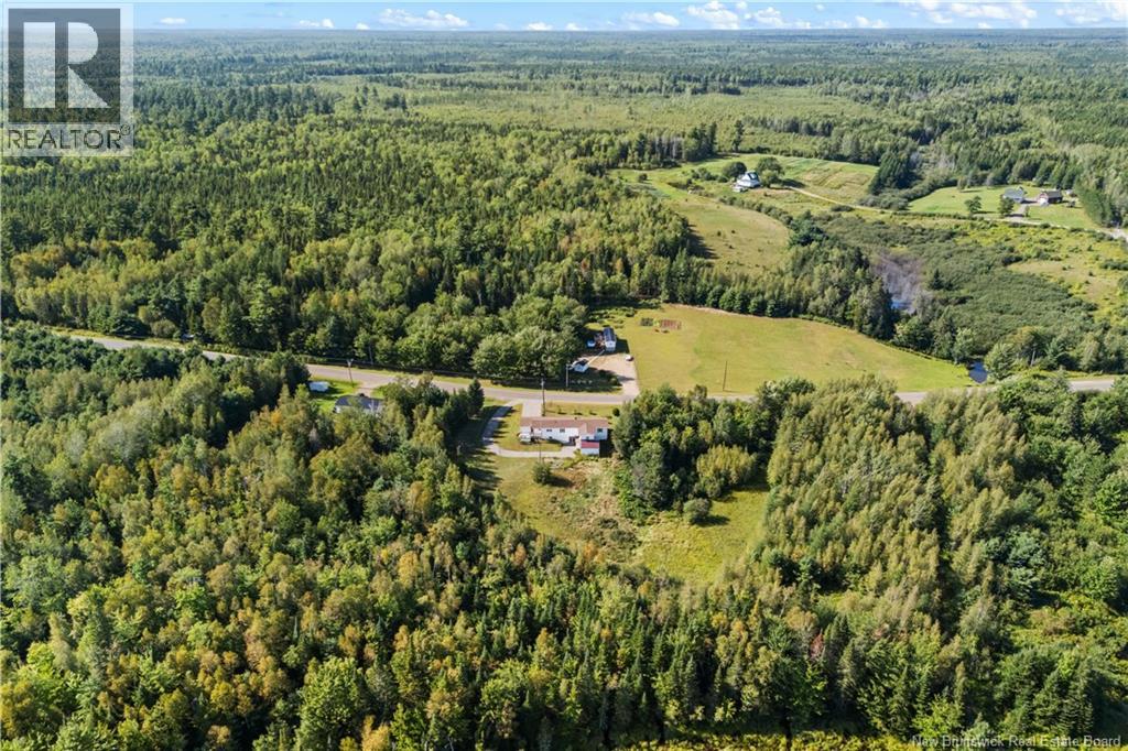 1145 Tweedie Brook - 7