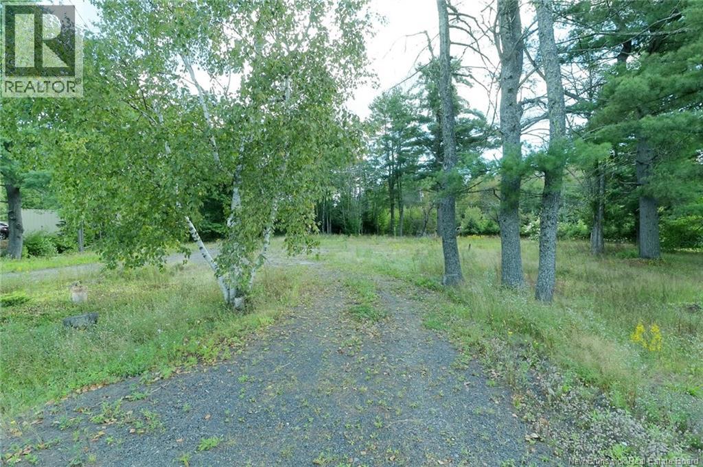 Photo 9 of 11