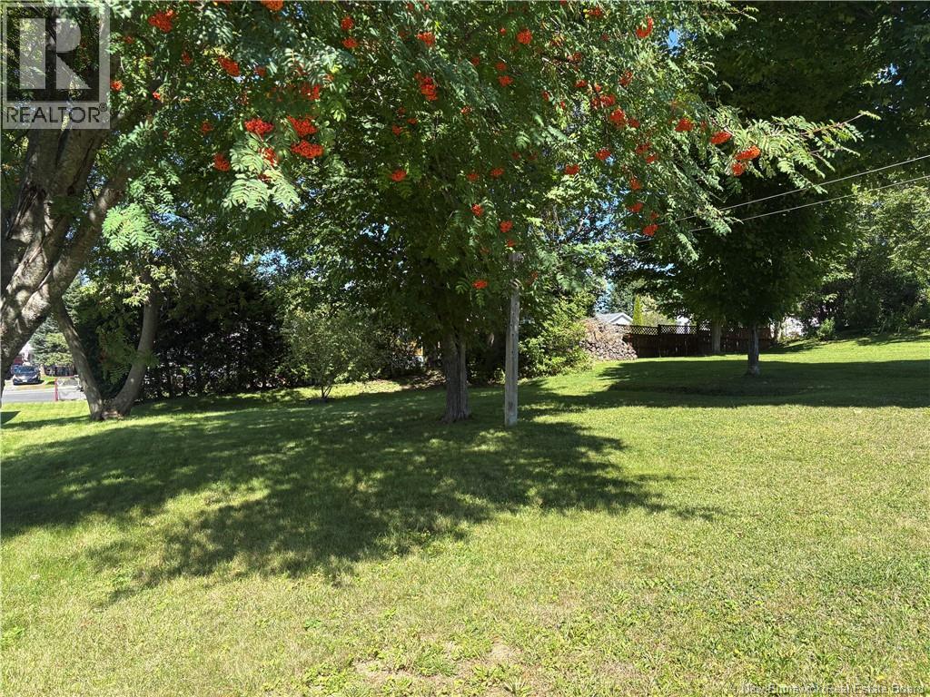 25 Hillcrest Avenue - 38