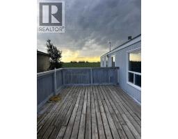 39 Maple Drive, Brooks, AB T1R1J2 Photo 11