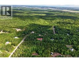 142 Niagara, Lower Coverdale, NB E1J1H8 Photo 47