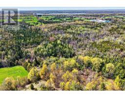 2136 Sixteenth Line, Selwyn, ON K0L2H0 Photo 43