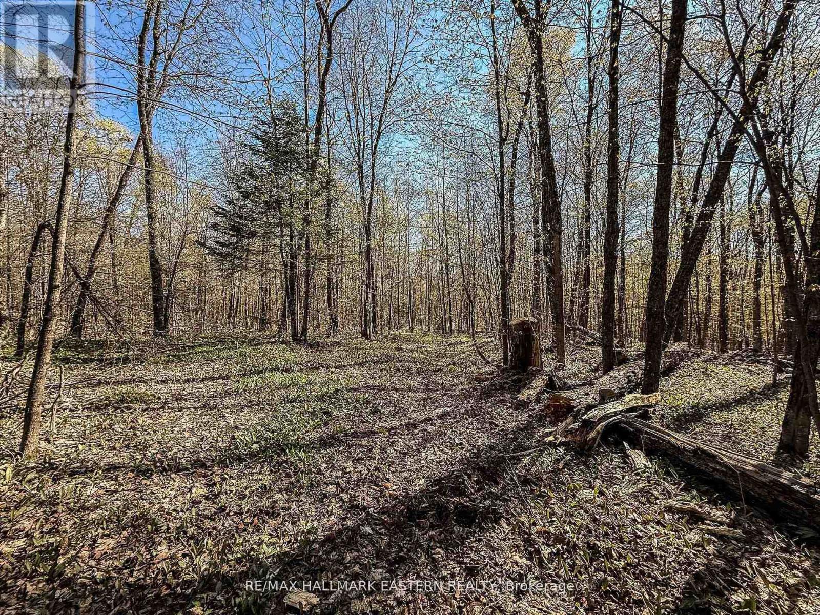 2494 Hadlington Road, Highlands East (Monmouth), Ontario, K0L3K0, Highlands East (Monmouth), Ontario — photo 1 of 5