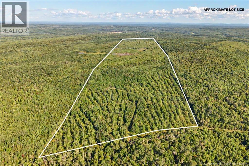 Land Mountain Road, New Market, New Brunswick, E3E2H9, New Market, New Brunswick — photo 1 of 5