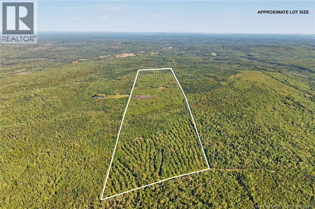 Land Mountain Road, New Market, New Brunswick, E3E2H9, New Market, New Brunswick — photo 2 of 5