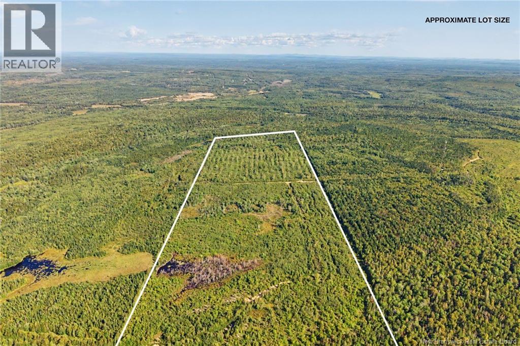 Land Mountain Road, New Market, New Brunswick, E3E2H9, New Market, New Brunswick — photo 3 of 5