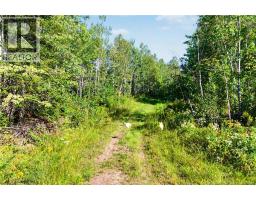 Land Mountain Road, New Market, NB E3E2H9 Photo 10