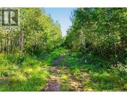 Land Mountain Road, New Market, NB E3E2H9 Photo 11