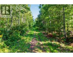 Land Mountain Road, New Market, NB E3E2H9 Photo 12