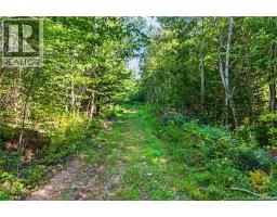 Land Mountain Road, New Market, NB E3E2H9 Photo 13