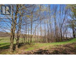 130 Crooked Hill Road, South Bruce Peninsula, ON N0H1A0 Photo 38