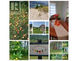 130 Crooked Hill Road, South Bruce Peninsula, ON N0H1A0 Photo 45