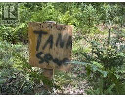 Lot 4 Maple Leaf Drive, East Canaan, NS B0W3M0 Photo 16