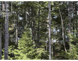 Lot 4 Maple Leaf Drive, East Canaan, NS B0W3M0 Photo 17
