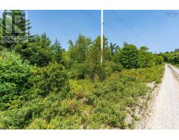 Lot 4 Maple Leaf Drive, East Canaan, NS B0W3M0 Photo 20