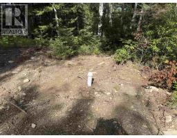 Lot 4 Maple Leaf Drive, East Canaan, NS B0W3M0 Photo 15