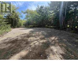 Lot 4 Maple Leaf Drive, East Canaan, NS B0W3M0 Photo 13