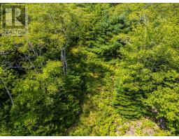 Lot 4 Maple Leaf Drive, East Canaan, NS B0W3M0 Photo 18