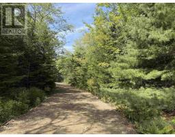 Lot 4 Maple Leaf Drive, East Canaan, NS B0W3M0 Photo 12