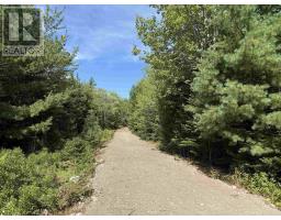 Lot 4 Maple Leaf Drive, East Canaan, NS B0W3M0 Photo 11