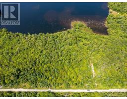 Lot 4 Maple Leaf Drive, East Canaan, NS B0W3M0 Photo 9