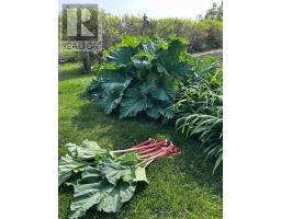 608450 12th Side Road, Blue Mountains, ON N0H2E0 Photo 31